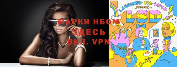 хмурый Анива