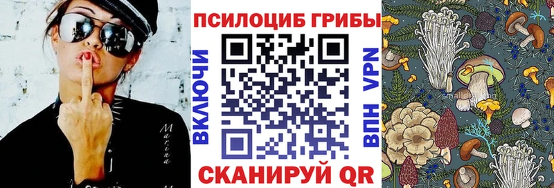 Галлюциногенные грибы Magic Shrooms купить сайты Правдинск